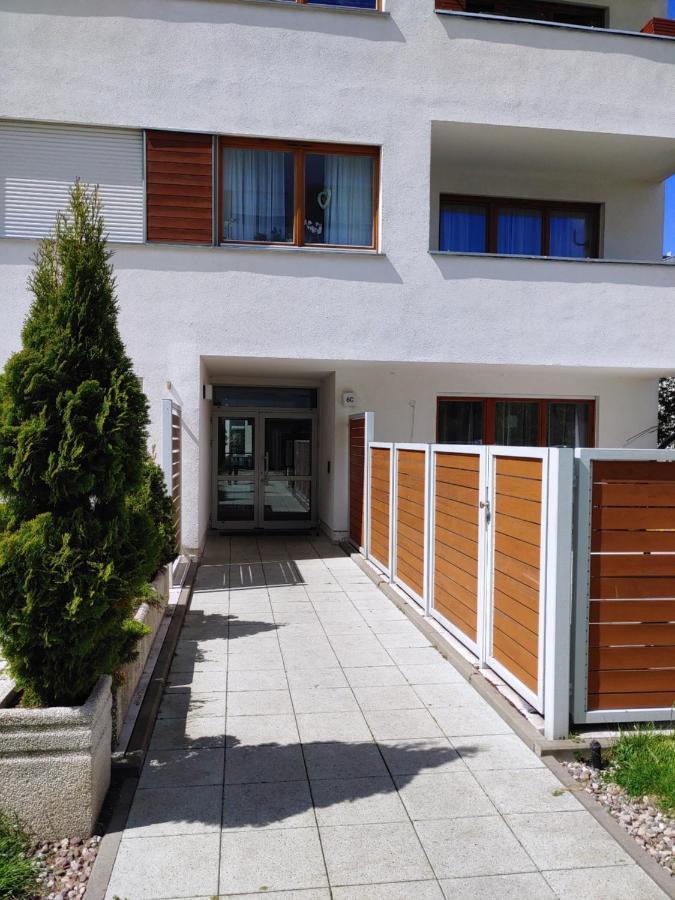 Platan Patio 6 - Berry