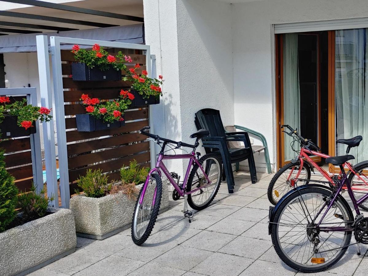 Platan Patio 6 *